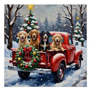 Bernedoodle Weihnachten Rotes Lastwagen Ferien Poster