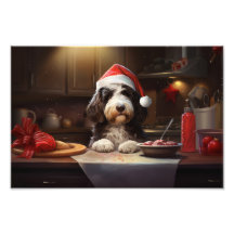 Bernedoodle Weihnachtskost Feiertag