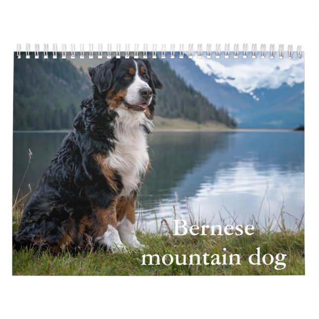 Berner Berghund Kalender (Titelbild)