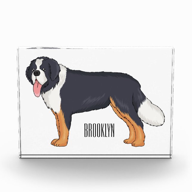 Berner Cartoon Fotoblock (Vorderseite)