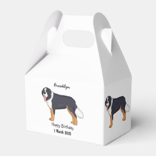 Berner Cartoon Geschenkschachtel