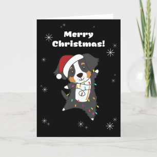 Berner Frohe Weihnachten Frohe Weihnachten Hunde