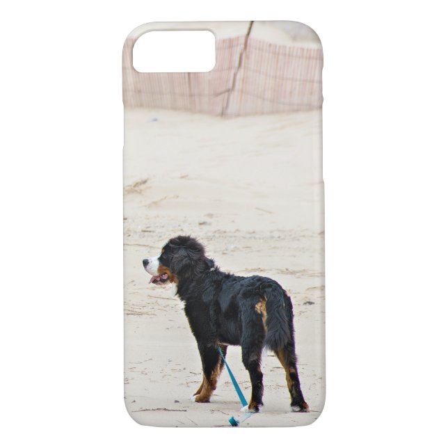 Berner Hund auf Sand Case-Mate iPhone Hülle (Rückseite)