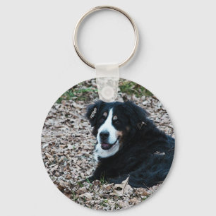 Berner Hund im Herbst Schlüsselanhänger