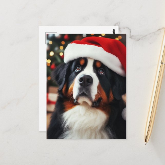 Berner Hund in Weihnachtsmannmütze Postkarte (Vorderseite/Rückseite Beispiel)