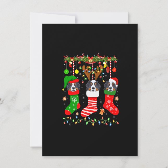 Berner Hund in Weihnachtssocken Lichter Xma Einladung (Vorderseite)