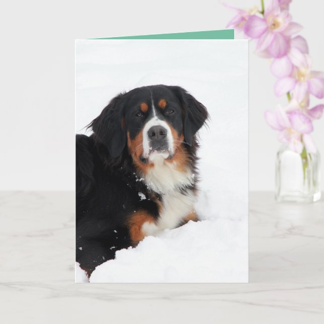 Berner Hund individuell anpassbar Karte (Orchidee)