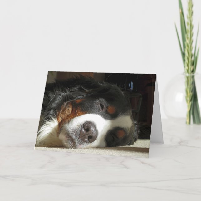 Berner Hund schlafend Karte (Vorderseite)
