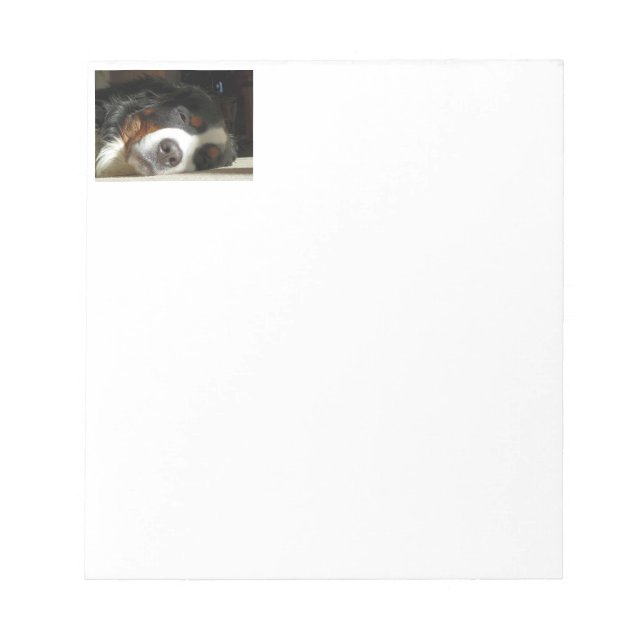 Berner Hund schlafend Notizblock (Vorderseite)