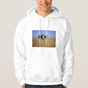 Berner Hundegruppe zweite Hoodie