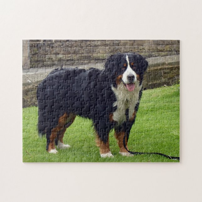 Berner Hundepuzzle (Horizontal)