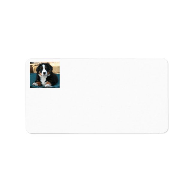 Berner Hundewelpe Adressaufkleber (Vorne)