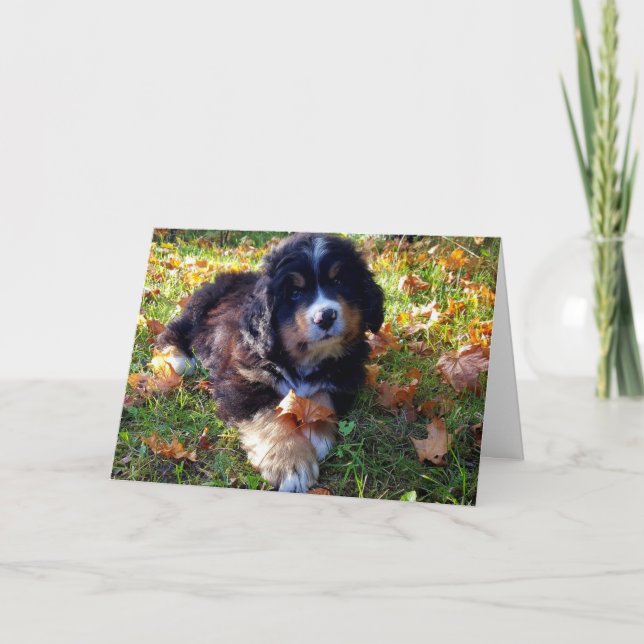 Berner Nation Grußkarte Feiertagskarte (Vorderseite)