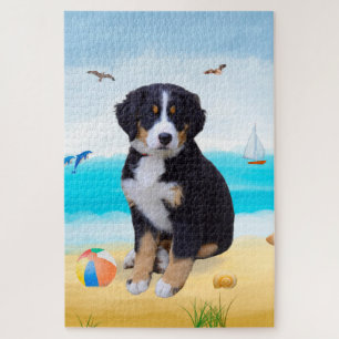 Berner Sennenhund am Strand