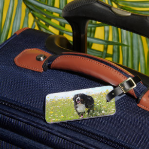 Berner Sennenhund auf Feld Gepäckanhänger