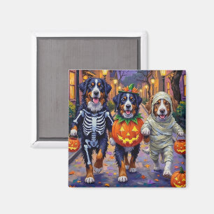 Berner Sennenhund beim Halloween-Süßigkeiten-Samme Magnet