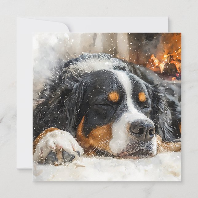 Berner Sennenhund Dankeskarte (Vorderseite)