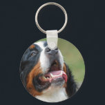 Berner Sennenhund Dog Keychain Schlüsselanhänger<br><div class="desc">Bernese Mountain dog looking up.</div>