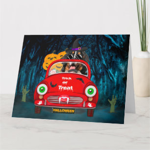 Berner Sennenhund fährt Auto Gruselig Halloween  Karte