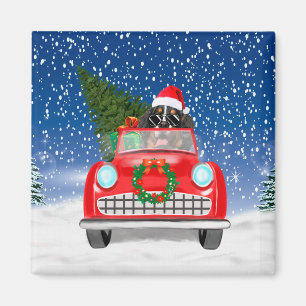 Berner Sennenhund fährt Auto im Schnee Weihnachten Magnet