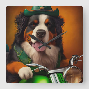 Berner Sennenhund fährt Fahrrad am St. Patrick's D Quadratische Wanduhr