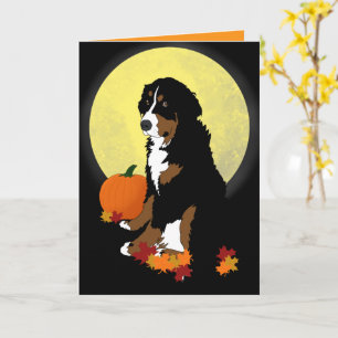 Berner Sennenhund Halloween Herbst  Karte
