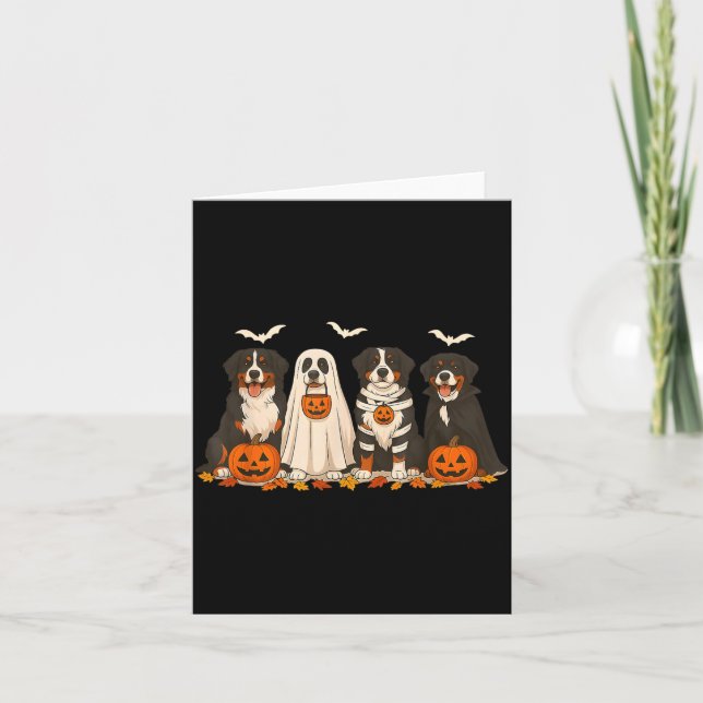 Berner Sennenhund Halloween Karte (Vorderseite)