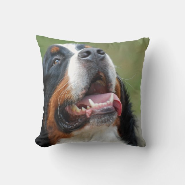 Berner Sennenhund Hundekissen Kissen (Vorderseite)