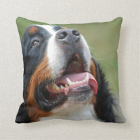 Berner Sennenhund Hundekissen