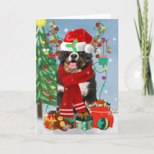 Berner Sennenhund im Schnee mit Weihnachtsgeschenk Karte