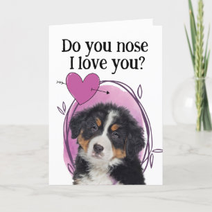 Berner Sennenhund Individuelles Valentinstag  Feiertagskarte