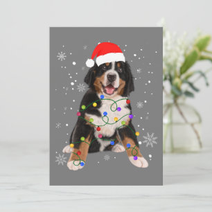 Berner Sennenhund Lichter Weihnachten Matching Fam