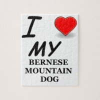 Berner Sennenhund Liebe