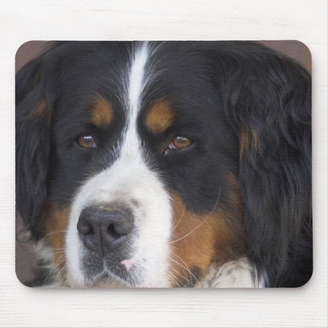 Berner Sennenhund Mausunterlage Mousepad (Vorne)