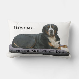 Berner Sennenhund Rost voll liegend Liebe w pic.j Lendenkissen