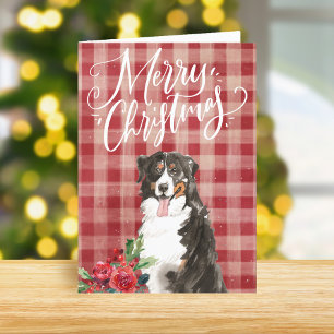 Berner Sennenhund Rotkariertes Weihnachten
