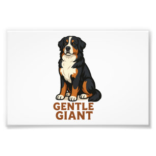Berner Sennenhund Sanfter Riese. Fotodruck