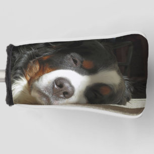 Berner Sennenhund schlafend Golf Headcover