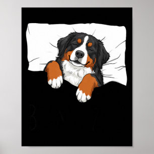 Berner Sennenhund Schlafthemd Pyjama lustiger Sche Poster