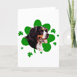 Berner Sennenhund St. Patrick's Day Karte