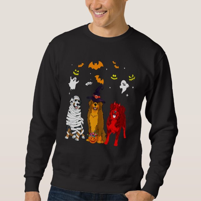 Berner Sennenhund Sweatshirt (Vorderseite)