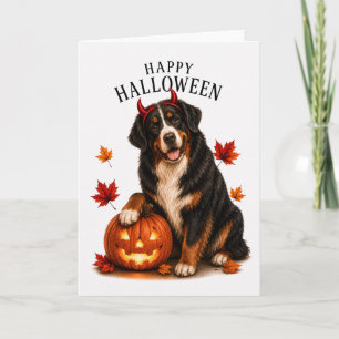 Berner Sennenhund Teufelshund Karte