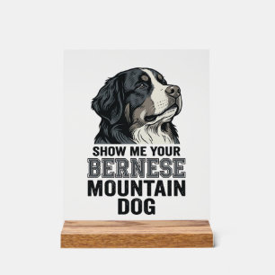 Berner Sennenhund Vintage Gravur Shirt Design Acrylschild