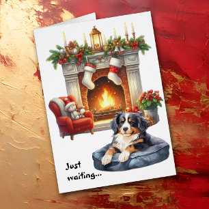 Berner Sennenhund wartet auf Weihnachten