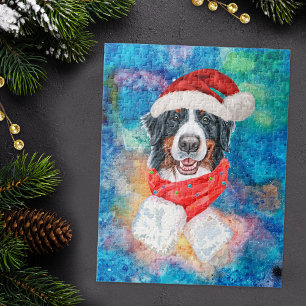 Berner Sennenhund Weihnachten