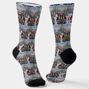 Berner Sennenhund Weihnachten Roter LKW Urlaub Socken