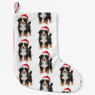 Berner Sennenhund Weihnachten Santa Hut Lichter Kleiner Weihnachtsstrumpf
