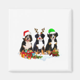 Berner Sennenhund Weihnachten Süß Vollbild Magnet