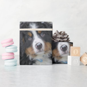 Berner Sennenhund Welpe Zweiter Geschenkpapier