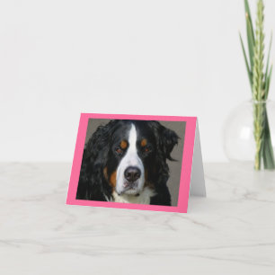 Berner Sennenhund Welpen Grußkarte Karte